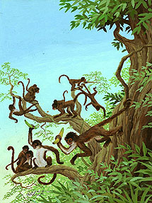 Wonderful Wild Animals - Monkeys, Brothers Hildebrandt